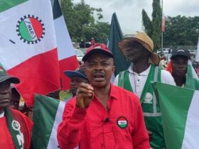 Nigerian union leader regained freedom after detention in secret police custody Nigeria's secret police arrest labour leader amid terrorism financing allegations