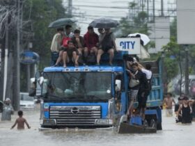 Chinese cities suspend schools