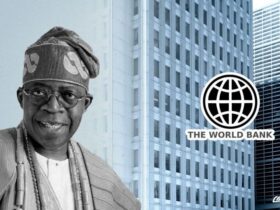 Nigeria's loan from World Bank’s IDA reaches $2.2 billion under Tinubu emerges third-largest debtor