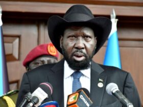 South Sudan postpones its first elections since independence