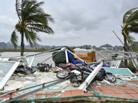 Nine die in Vietnam landslide