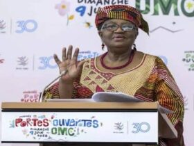 WTO chief Okonjo-Iweala seeks second term to complete key reforms