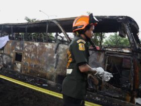 School bus fire