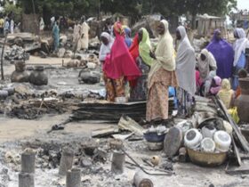 Cholera outbreak strikes flood-affected region in Northeastern Nigeria